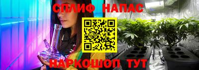 ешки Обнинск