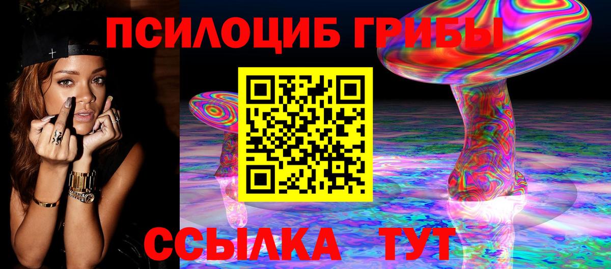 Псилоцибиновые грибы Psilocybine cubensis Строитель