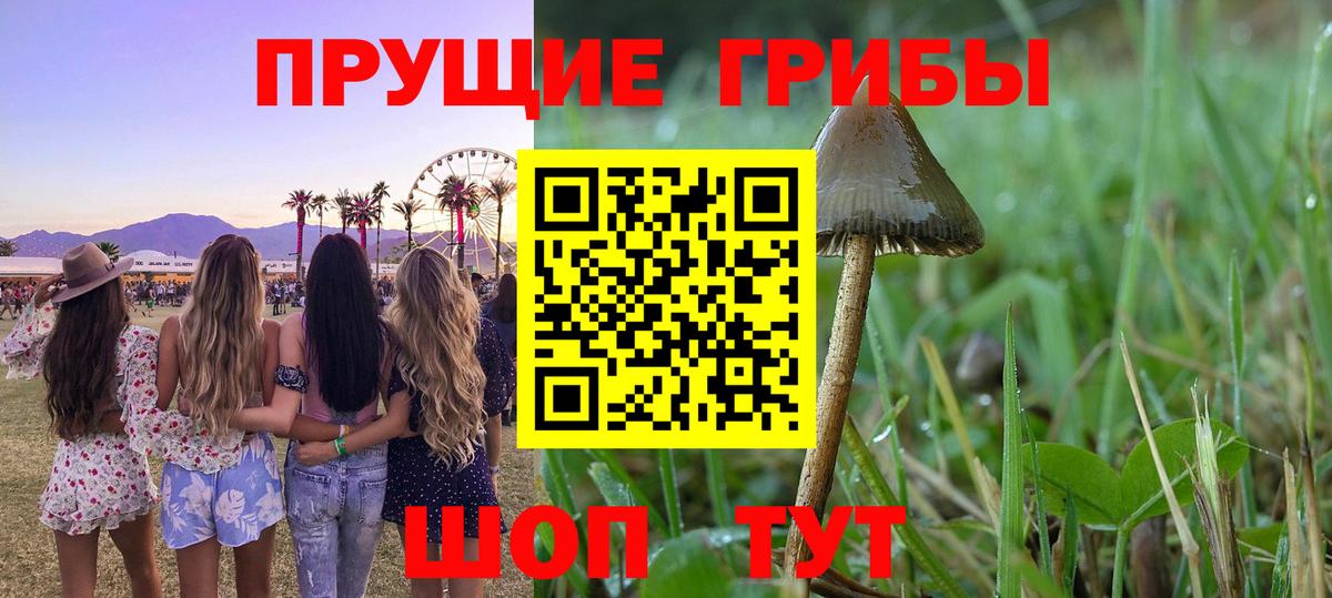 Псилоцибиновые грибы ЛСД  Вход с VPN  Строитель 
